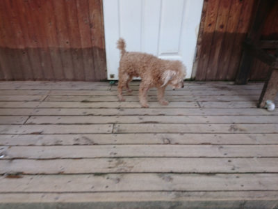 f:id:roukenhome-ann:20190818053257j:plain