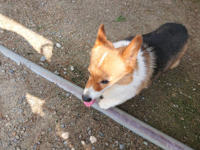 f:id:roukenhome-ann:20190818053312j:plain