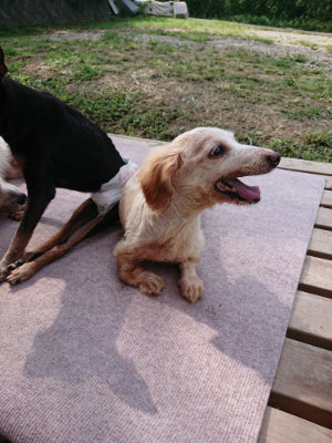 f:id:roukenhome-ann:20190818143101j:plain