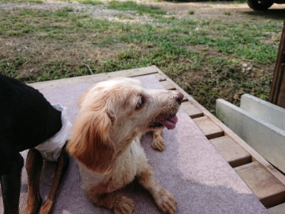 f:id:roukenhome-ann:20190818143109j:plain