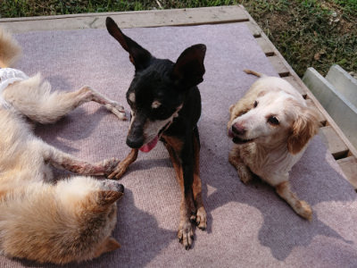 f:id:roukenhome-ann:20190818143128j:plain
