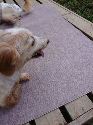 f:id:roukenhome-ann:20190818143242j:plain