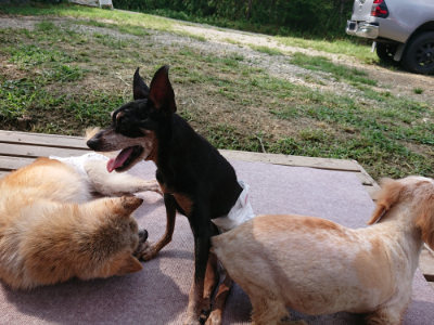 f:id:roukenhome-ann:20190818143421j:plain
