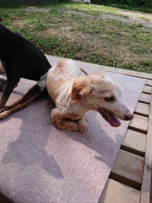 f:id:roukenhome-ann:20190818143444j:plain