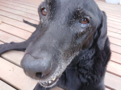 f:id:roukenhome-ann:20190818143453j:plain