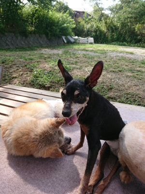 f:id:roukenhome-ann:20190818143456j:plain