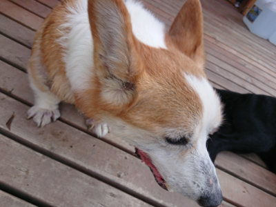 f:id:roukenhome-ann:20190818143545j:plain