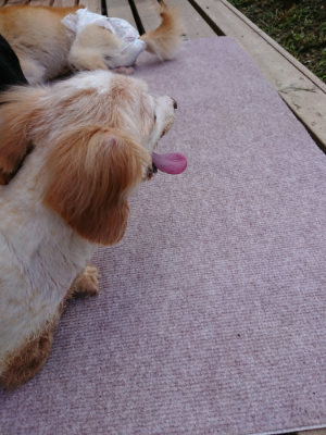 f:id:roukenhome-ann:20190818143749j:plain