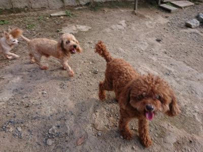 f:id:roukenhome-ann:20190818144315j:plain