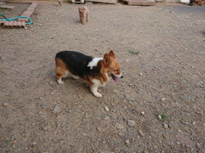 f:id:roukenhome-ann:20190818144322j:plain