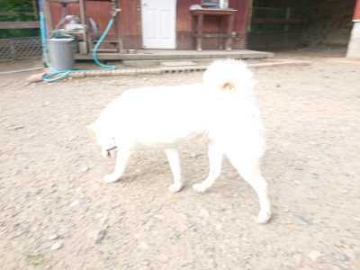 f:id:roukenhome-ann:20190818144345j:plain