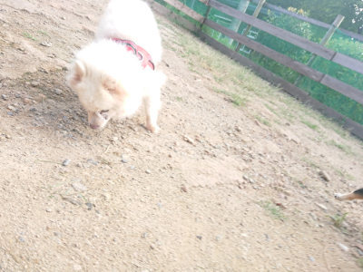 f:id:roukenhome-ann:20190818144353j:plain