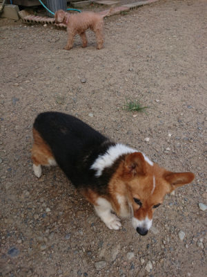 f:id:roukenhome-ann:20190818144358j:plain