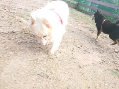 f:id:roukenhome-ann:20190818144431j:plain