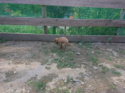 f:id:roukenhome-ann:20190818144453j:plain
