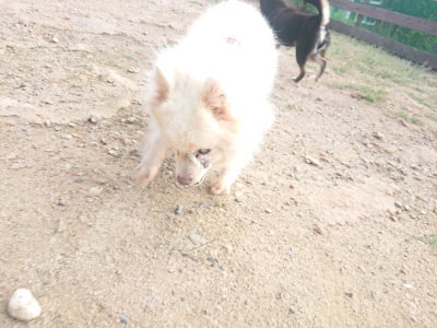 f:id:roukenhome-ann:20190818144458j:plain