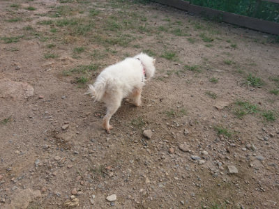 f:id:roukenhome-ann:20190818144504j:plain