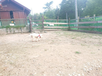 f:id:roukenhome-ann:20190818144533j:plain