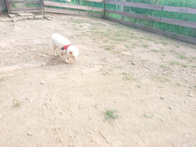 f:id:roukenhome-ann:20190818144539j:plain