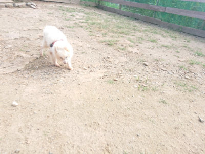 f:id:roukenhome-ann:20190818144817j:plain