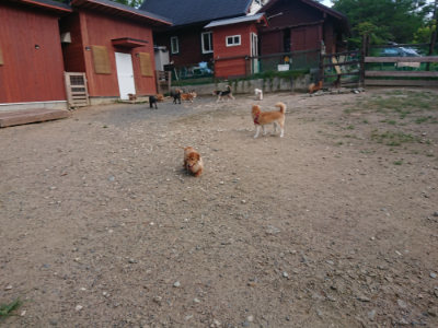 f:id:roukenhome-ann:20190818144851j:plain