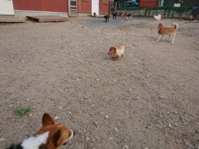 f:id:roukenhome-ann:20190818144904j:plain