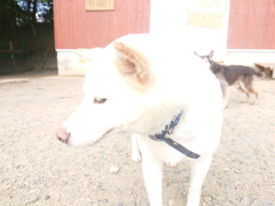 f:id:roukenhome-ann:20190818145043j:plain