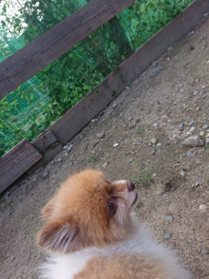 f:id:roukenhome-ann:20190818150813j:plain