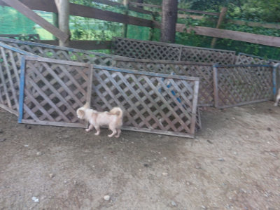 f:id:roukenhome-ann:20190818150851j:plain