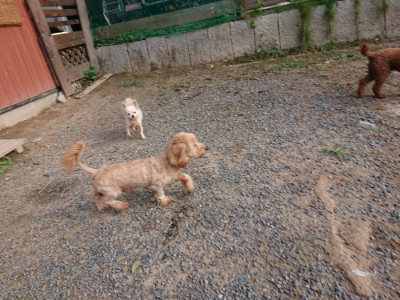 f:id:roukenhome-ann:20190818151006j:plain