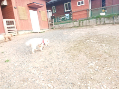 f:id:roukenhome-ann:20190818151012j:plain