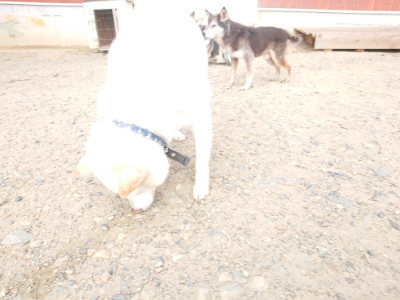 f:id:roukenhome-ann:20190818151019j:plain