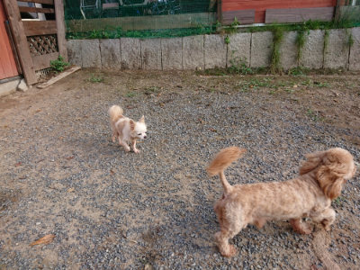 f:id:roukenhome-ann:20190818151044j:plain