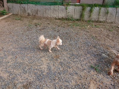 f:id:roukenhome-ann:20190818151051j:plain