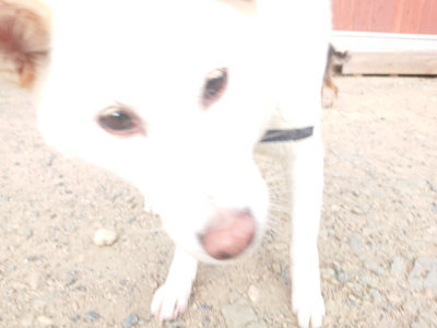 f:id:roukenhome-ann:20190818151058j:plain