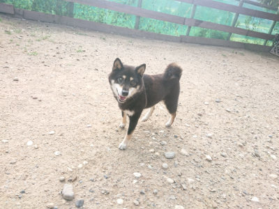 f:id:roukenhome-ann:20190818151126j:plain