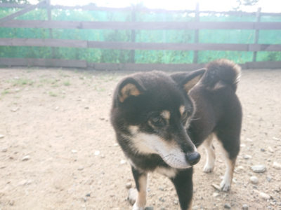 f:id:roukenhome-ann:20190818151216j:plain