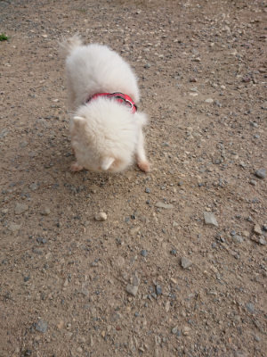 f:id:roukenhome-ann:20190818151244j:plain