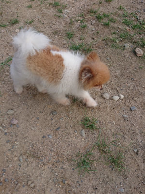 f:id:roukenhome-ann:20190818151256j:plain