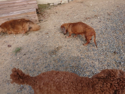 f:id:roukenhome-ann:20190818151532j:plain