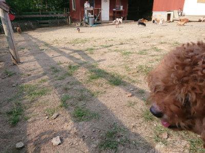f:id:roukenhome-ann:20190818151917j:plain