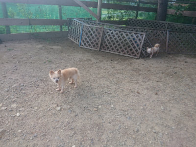 f:id:roukenhome-ann:20190818152035j:plain
