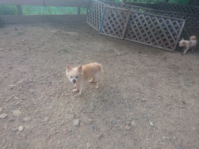 f:id:roukenhome-ann:20190818152057j:plain