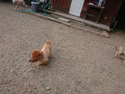f:id:roukenhome-ann:20190818152110j:plain