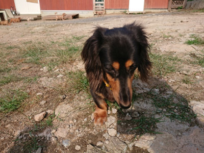 f:id:roukenhome-ann:20190818152139j:plain