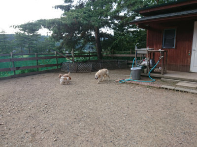 f:id:roukenhome-ann:20190818152157j:plain