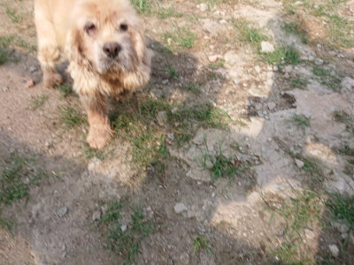 f:id:roukenhome-ann:20190818152221j:plain