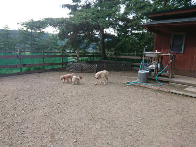 f:id:roukenhome-ann:20190818152228j:plain