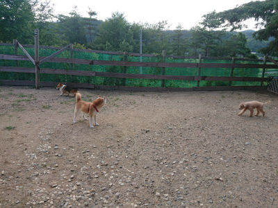f:id:roukenhome-ann:20190818152233j:plain