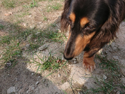 f:id:roukenhome-ann:20190818152245j:plain